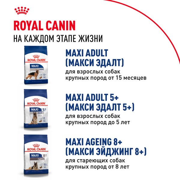 Сухой корм Royal Canin Maxi Puppy для щенков крупных размеров в возрасте до 15 месяцев