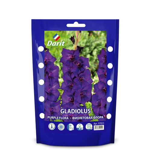 ЛУКОВИЦЫ ГЛАДИОЛУС ПЕПЛ ФЛОР GLADIOLUS PURPLE FLORA ФИОЛЕТОВАЯ ФЛОРА 7ШТ(97835)