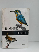 В мире птиц. Карманный атлас