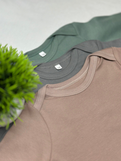 Футболка с длинным рукавом Полынь