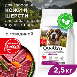 Корм сухой для взрослых собак очень крупных пород, премиум полнорационный комплекс, здоровье кожи и шерсти, с говядиной, 2,5 кг, QUATTRO