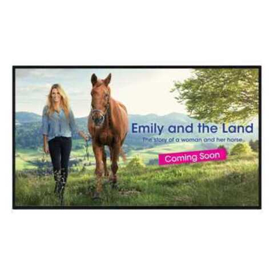 Профессиональный дисплей Sharp PN-HW431