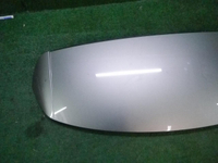 DSCN8203.JPG