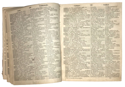 Словарь. Dictionnaires. Paralleles des langues russe, francaise, allemande et anglaise. 1869г.