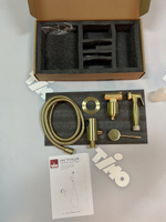 Смеситель встроенный с гигиеническим душем Timo Saona (2389/17SM) золото матовое
