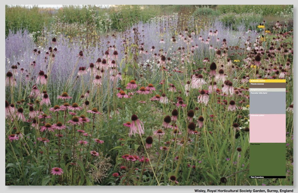Piet Oudolf. Landscapes in Landscapes