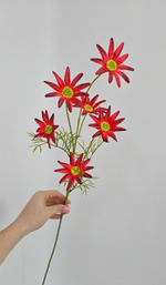 Хризантема / Арт 2436