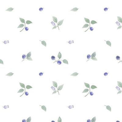 Акварельная черника на белом. Watercolor blueberries on the white background.