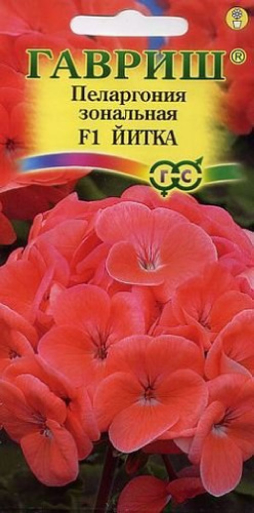 Пеларгония зональная Йитка F1 4шт.