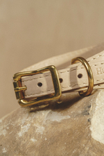 Ошейник "Пони-Селедка" Бежевый