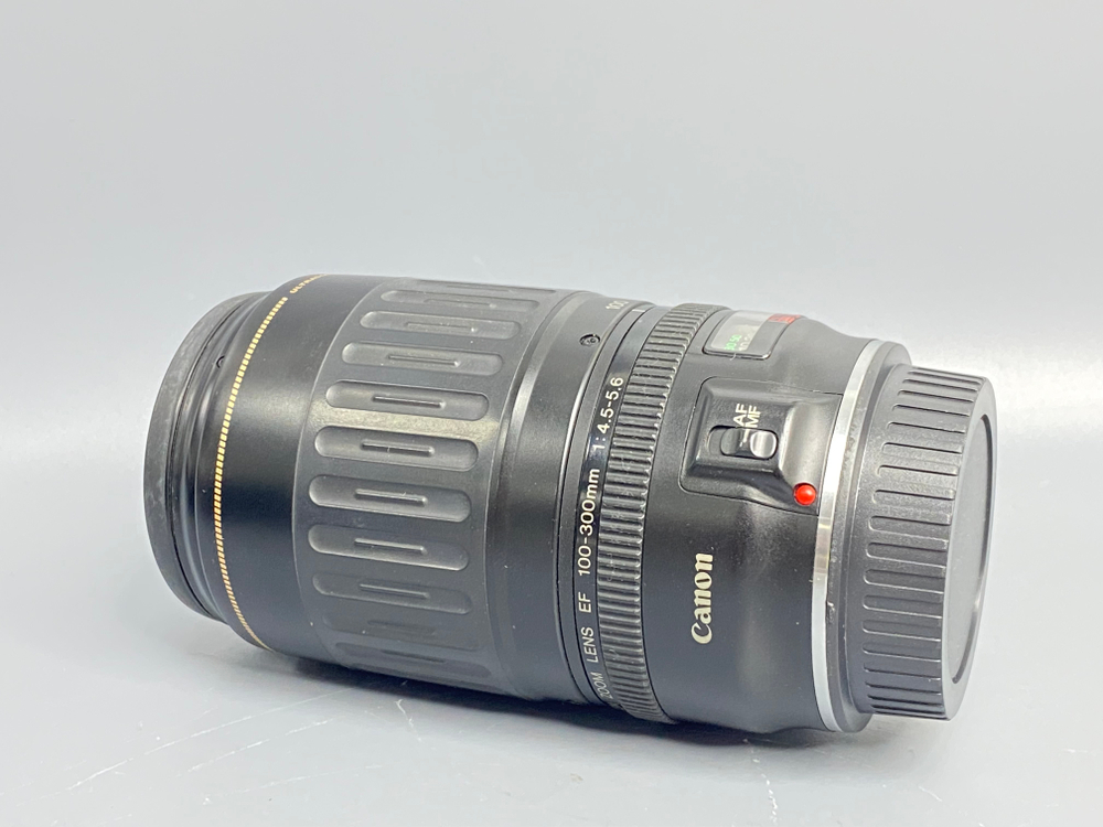 Canon EF 100-300mm USM Пылинки внутри