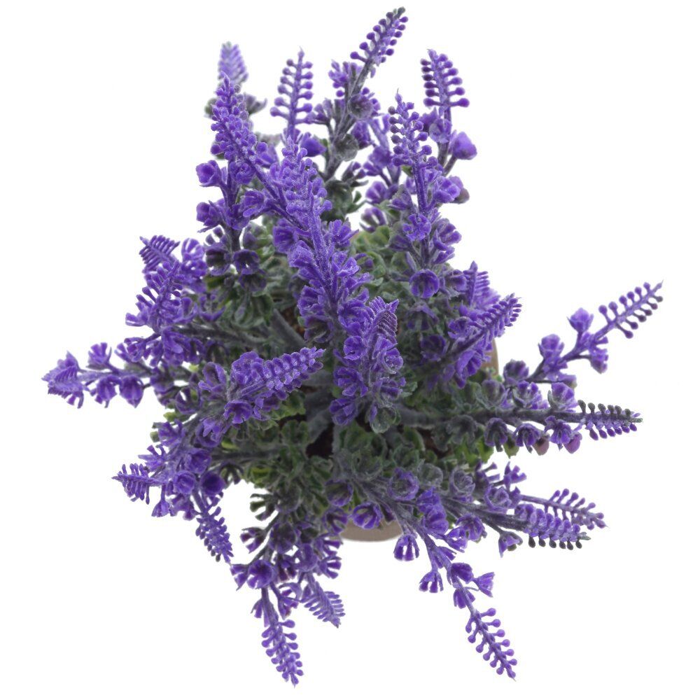 GAEM Цветочная композиция "Лаванда", L8 W8 H23 см