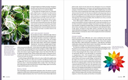 The Essential Garden Design Workbook. Rosemary Alexander