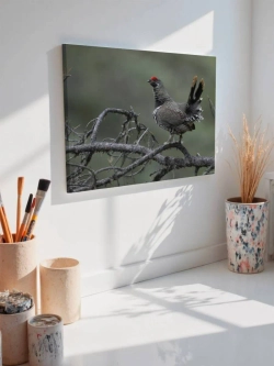 Картина на стену 40 X 50 Курица