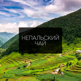 Непальский чай: Уникальное наслаждение из Гималаев