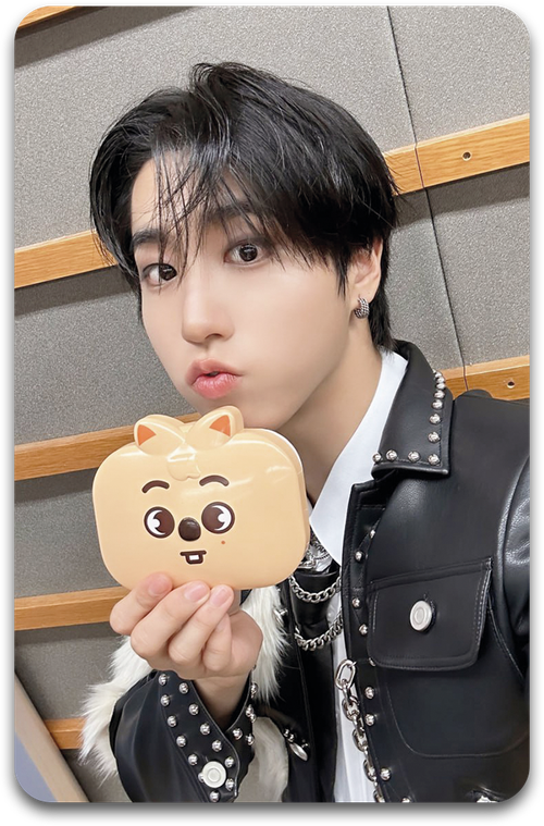 Карта / STRAY KIDS #2244