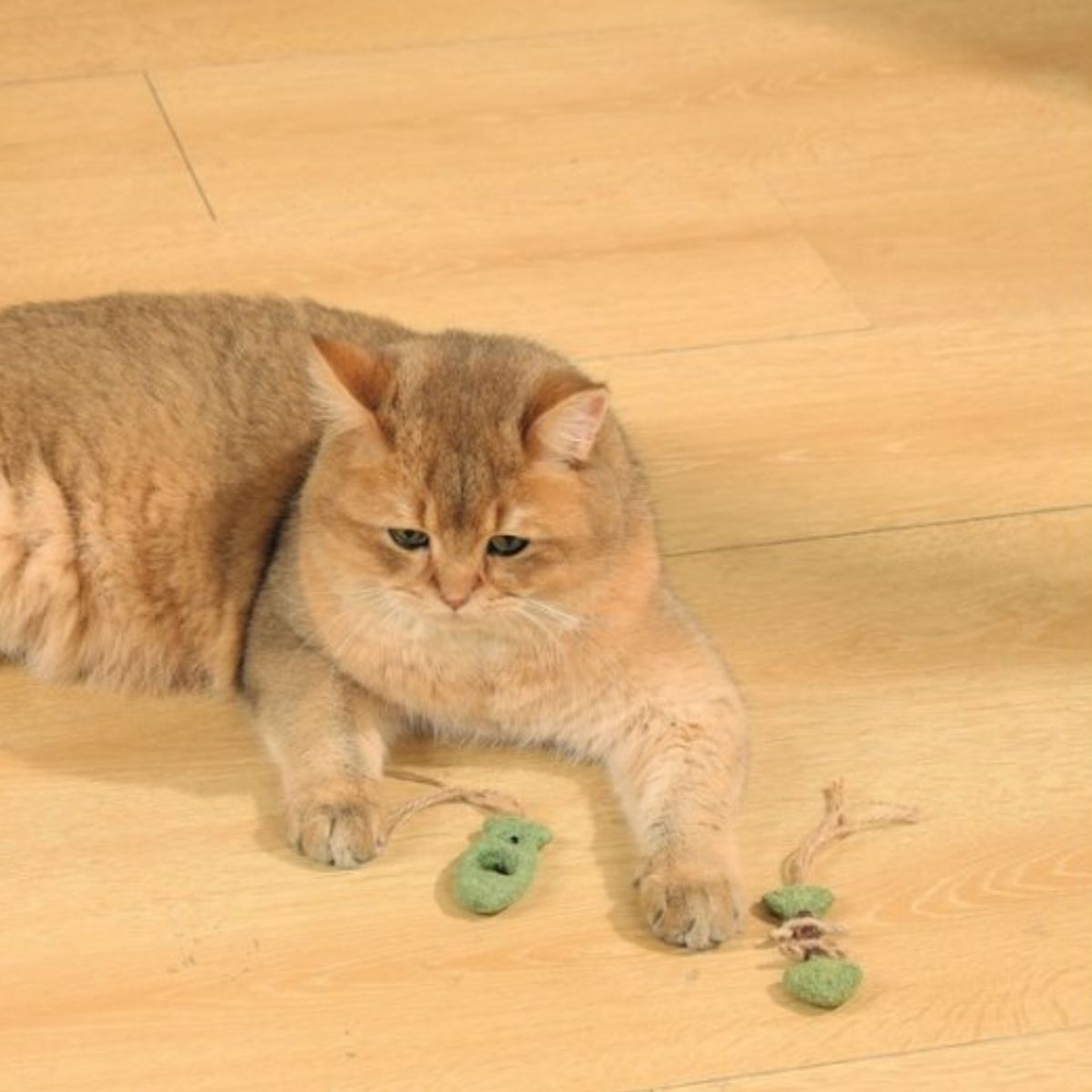 M-PETS Игрушка для кошек с кошачьей мятой CHARMY рыбки
