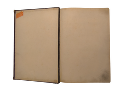 Книга "Так называемая "Религия человечества" 1897