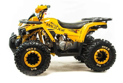 Квадроцикл MOTOLAND (МОТОЛЕНД) 125 WILD X