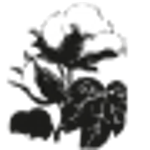 НОСКИ MUND 332 ATLAS