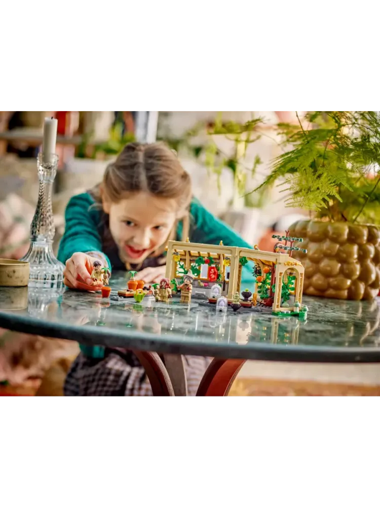 Конструктор Harry Potter 76445 Хогвартс: Урок травологии