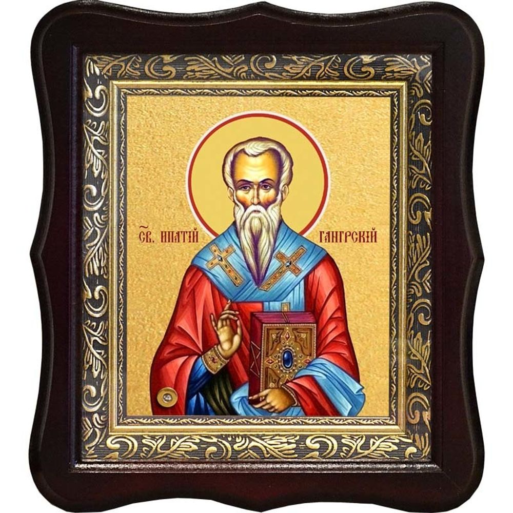 Ипатий епископ Гангрский чудотворец. Икона на холсте.