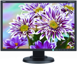 Монитор NEC MultiSync E223W 22' Black