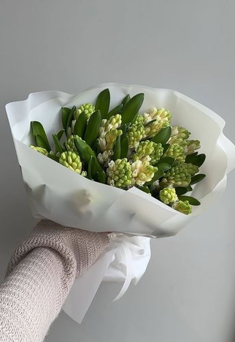 19 гиацинтов микс