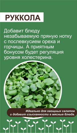 Набор для выращивания микрозелени ЛЕГКИЙ СТАРТ: семена, агровата, лотки