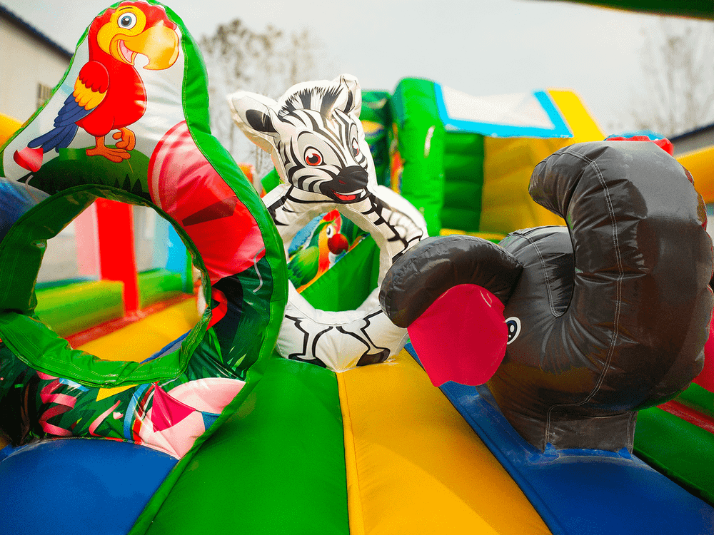 Коммерческий надувной батут «Попугайчики» 6*4*2,8 м