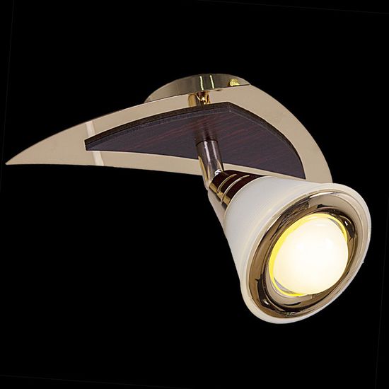 Светильник потолочный поворотный Reluce E14 00640-0.3-01DA FGD+WD