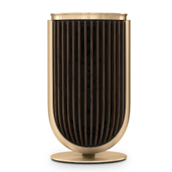 Беспроводная аудиосистема Bang & Olufsen BeoLab 8, Gold, Dark oak