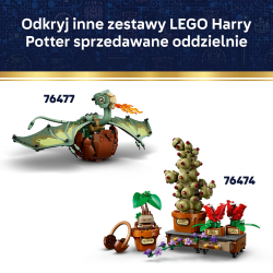 Конструктор LEGO Harry Potter 76469 Вольный домовой эльф Добби — фото 7