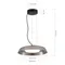 SL6019.413.01 Светильник подвесной ST-Luce Черный/Дымчатый, Белый LED 1*36W 3000K FORAY