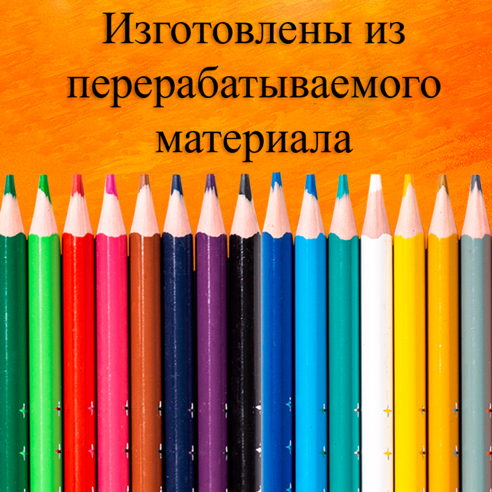 Карандаши цветные Deli "Enovation", 24 цвета, PS, картон