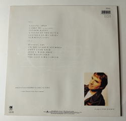 Винтажная виниловая пластинка LP Chris de Burgh Flying Colours (Germany 1988) Leather On My Shoes