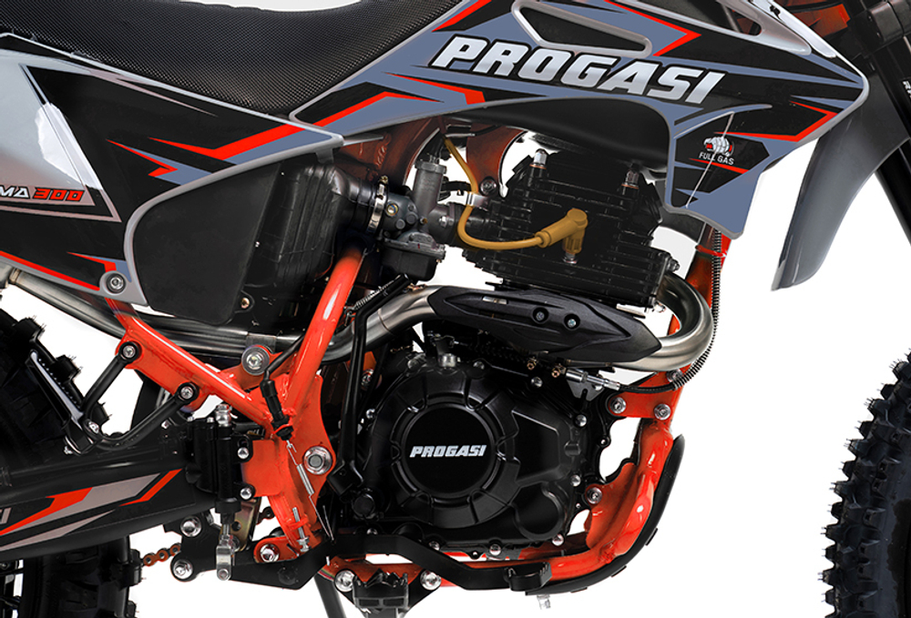 Мотоцикл PROGASI PALMA 300