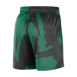 Баскетбольные мужские шорты Jordan Dri-FIT NBA Boston Celtics Courtside