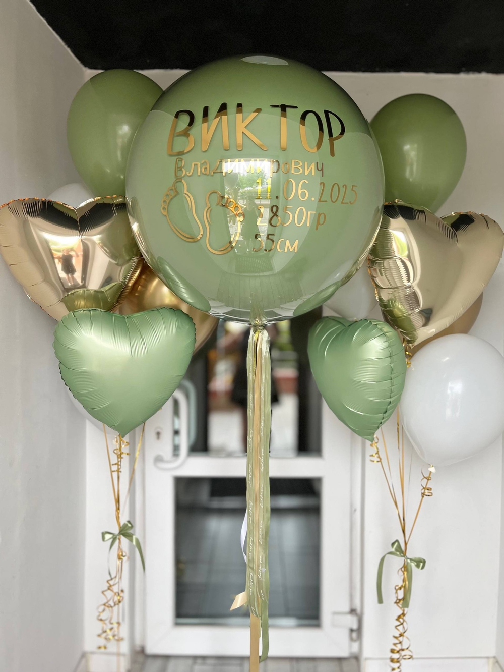 Эвкалиптовые воздушные шары на выписку №3376