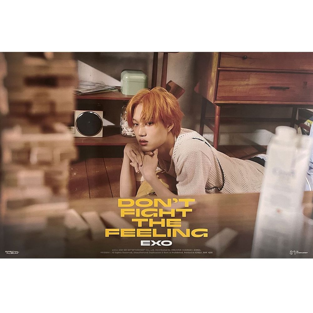 Официальный постер EXO - Don&#39;t Fight The Feeling (Kai ver.)