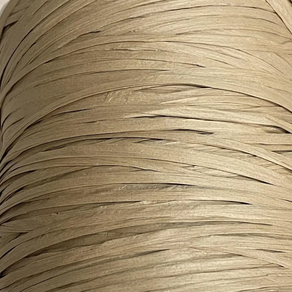 Пряжа Fibra Natura Raffia Big (01)