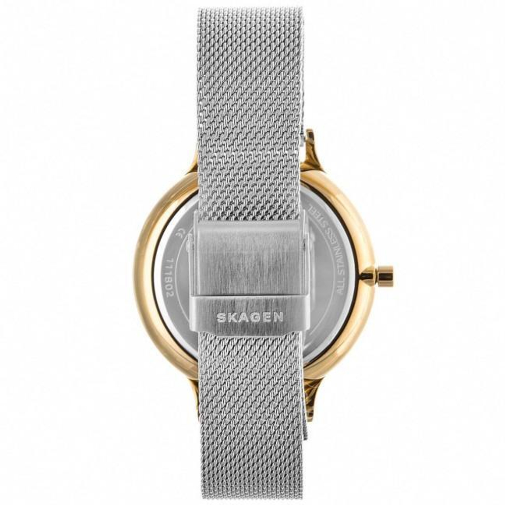 Женские наручные часы Skagen SKW2702