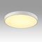 Светильник Sonex Mitra Led 7755/70L