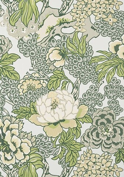 Thibaut Dynasty T75485