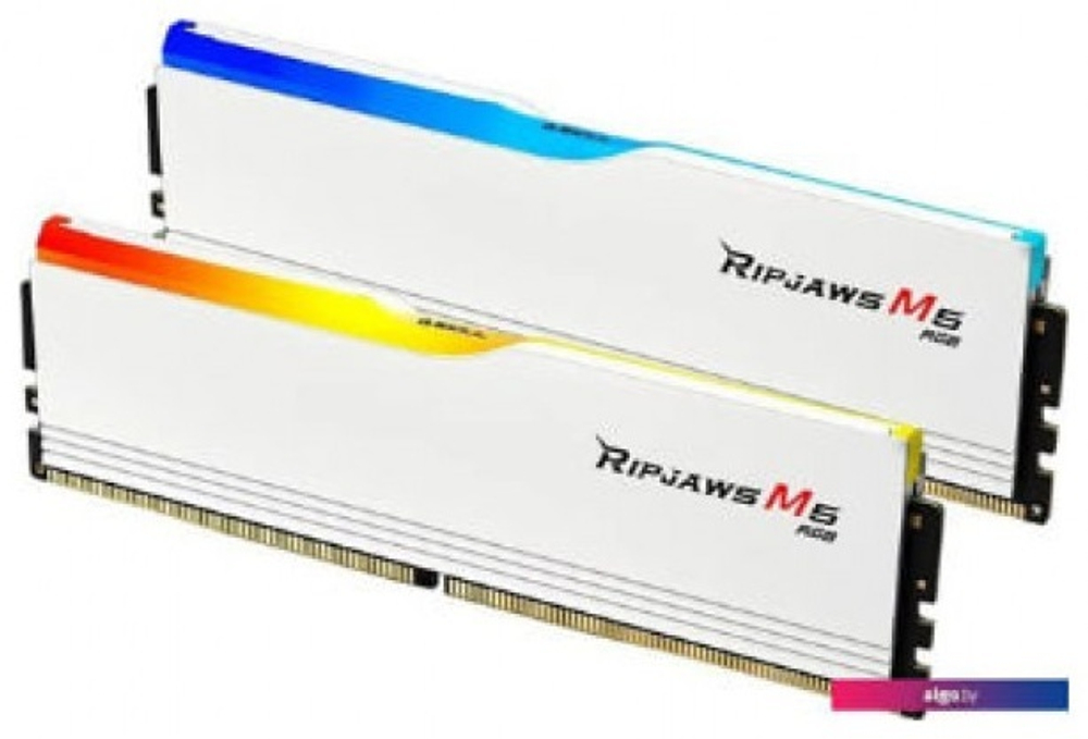 Оперативная память G.SKILL F5-5200J4040A24GX2-RM5RW 48 Гб