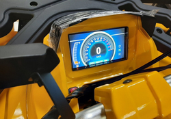 Квадроцикл MOTOLAND (МОТОЛЕНД) 200 WILD TRACK X PRO-SPORT (баланс.вал)