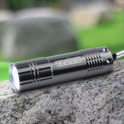 Светодиодный фонарь Трофи TM9-box12 ручной на батарейках промо-бокс 12шт алюминиевый