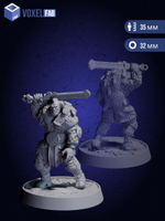 Воины Клана Зимних Теней