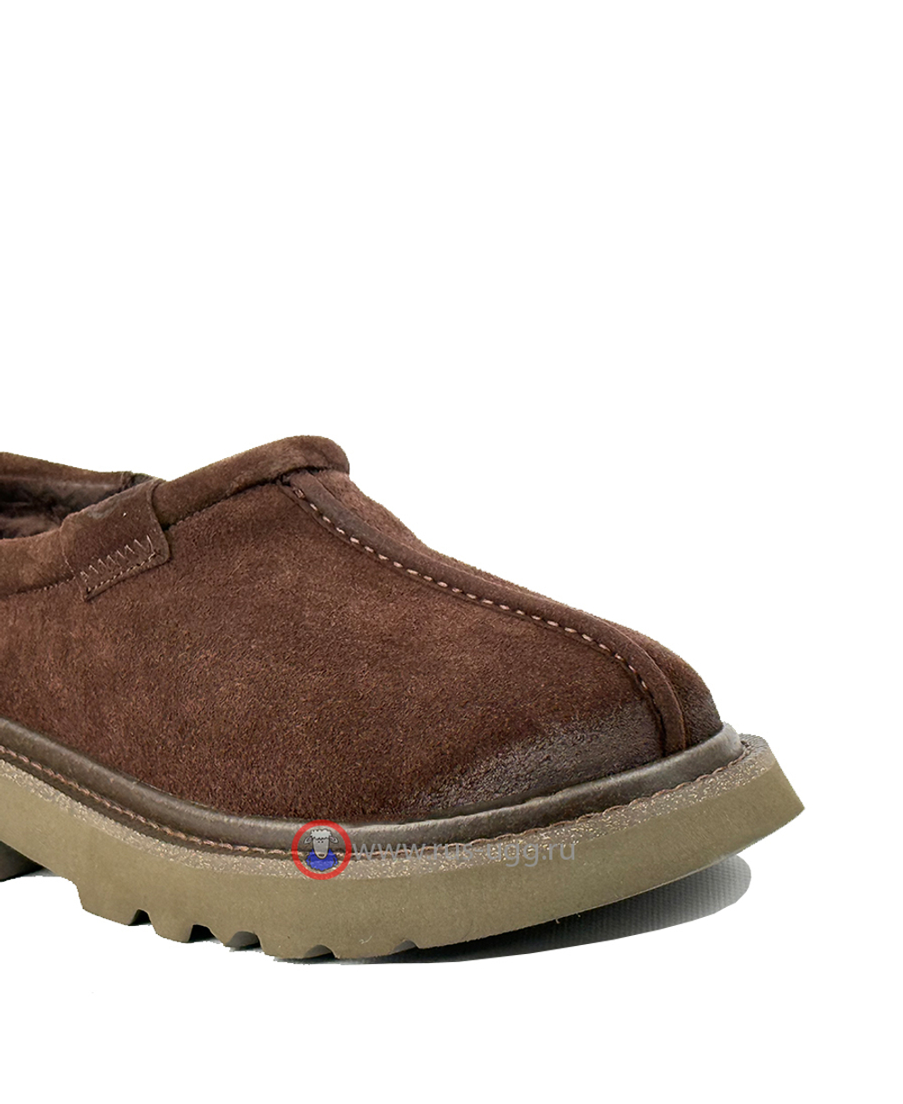 MEN'S TASMAN LUG - Molasses