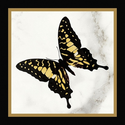 Керамическая плитка для стен Victorian Бабочки 45° Чёрно-Белые Сет Из 4-Х 20x20